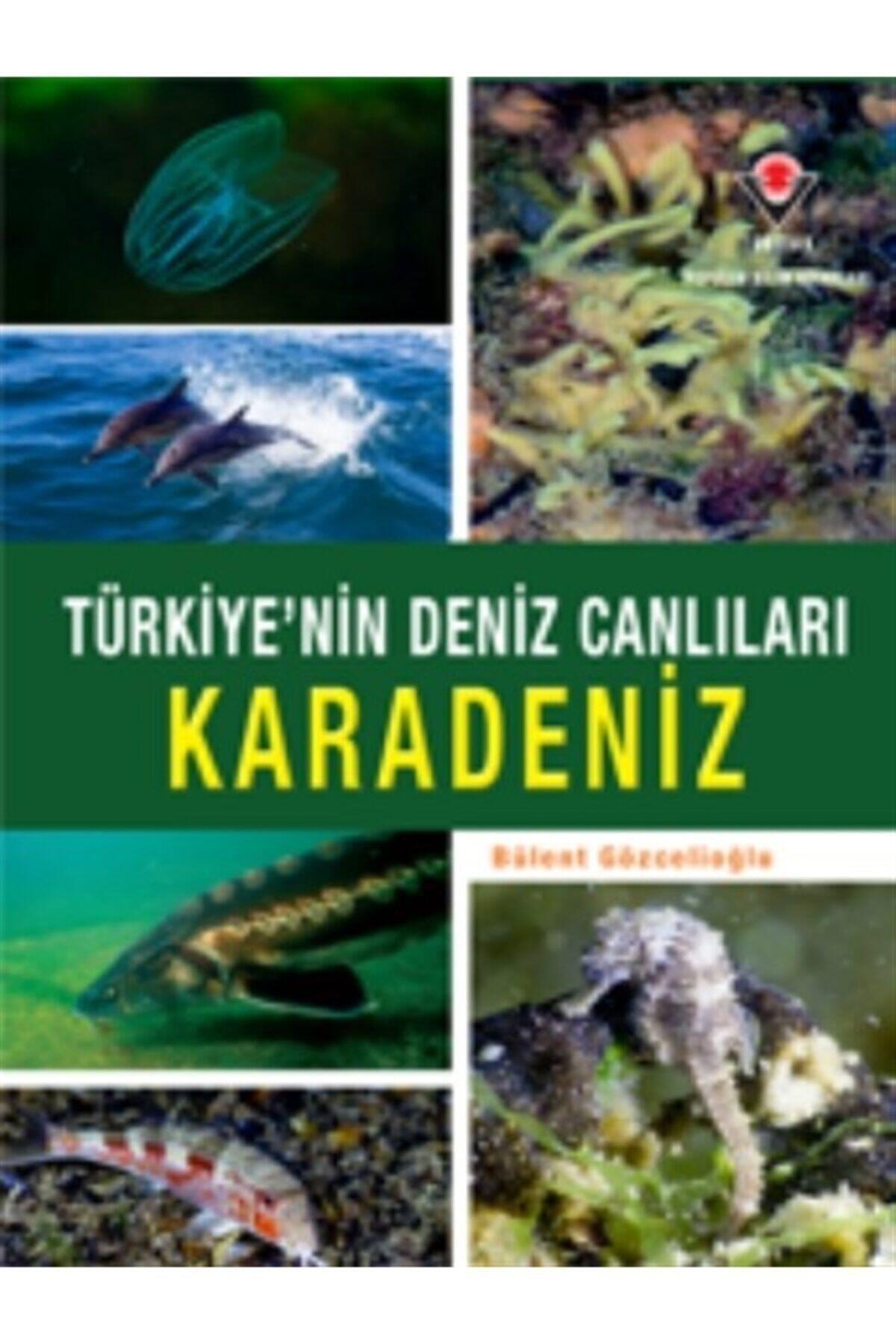 9786053123811